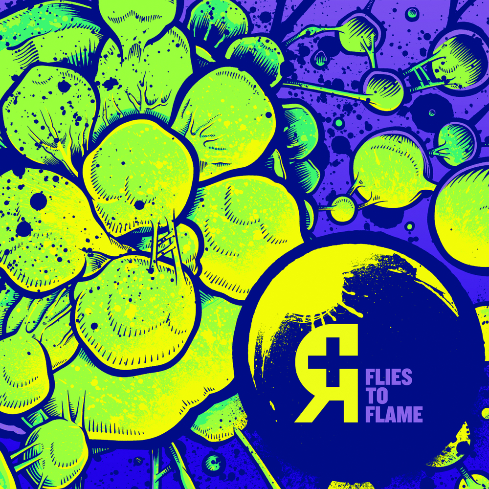 <a href="http://www.ryansrockshow.com/album-details/rosetta-flies-to-flame">Rosetta - Flies to Flame</a>