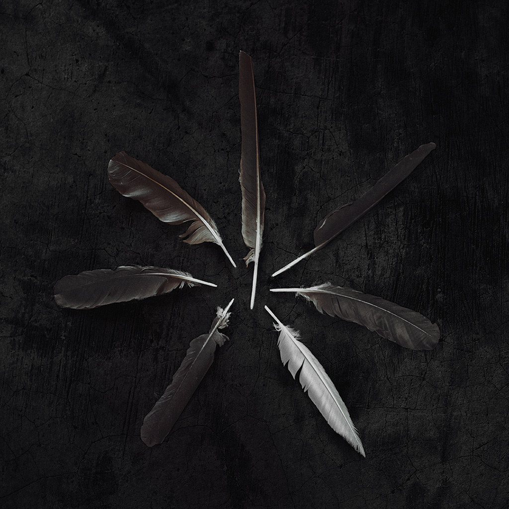 <a href="http://www.ryansrockshow.com/album-details/caspian-dust-disquiet">Caspian - Dust & Disquiet</a>