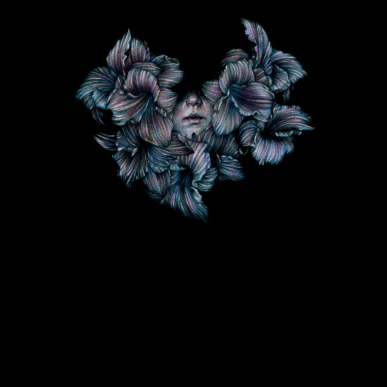 <a href="http://www.ryansrockshow.com/album-details/a-lot-like-birds-divisi">A Lot Like Birds - DIVISI</a>