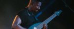 animals as leaders